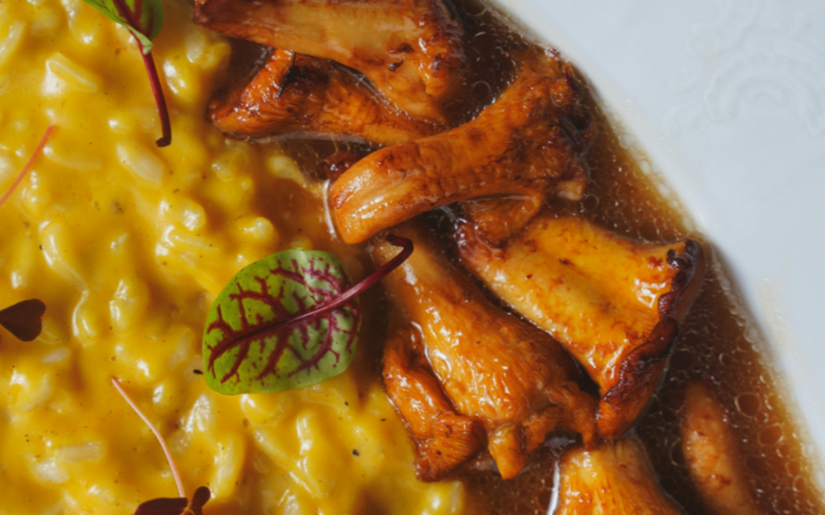 WILLKOMMEN HOTEL ZUR ROSE